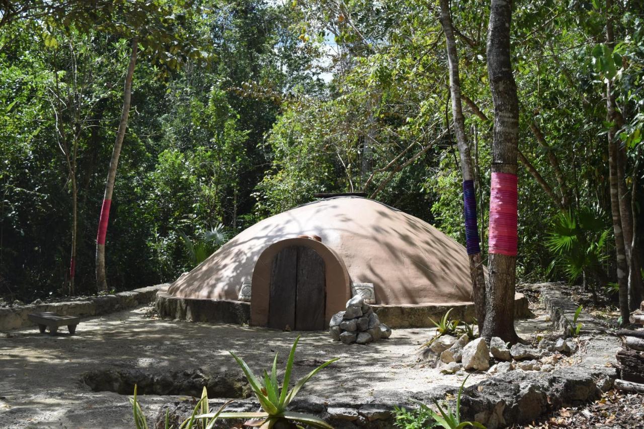 Jolie Jungle Eco Hotel (Adults Only) Леона-Викарио Экстерьер фото