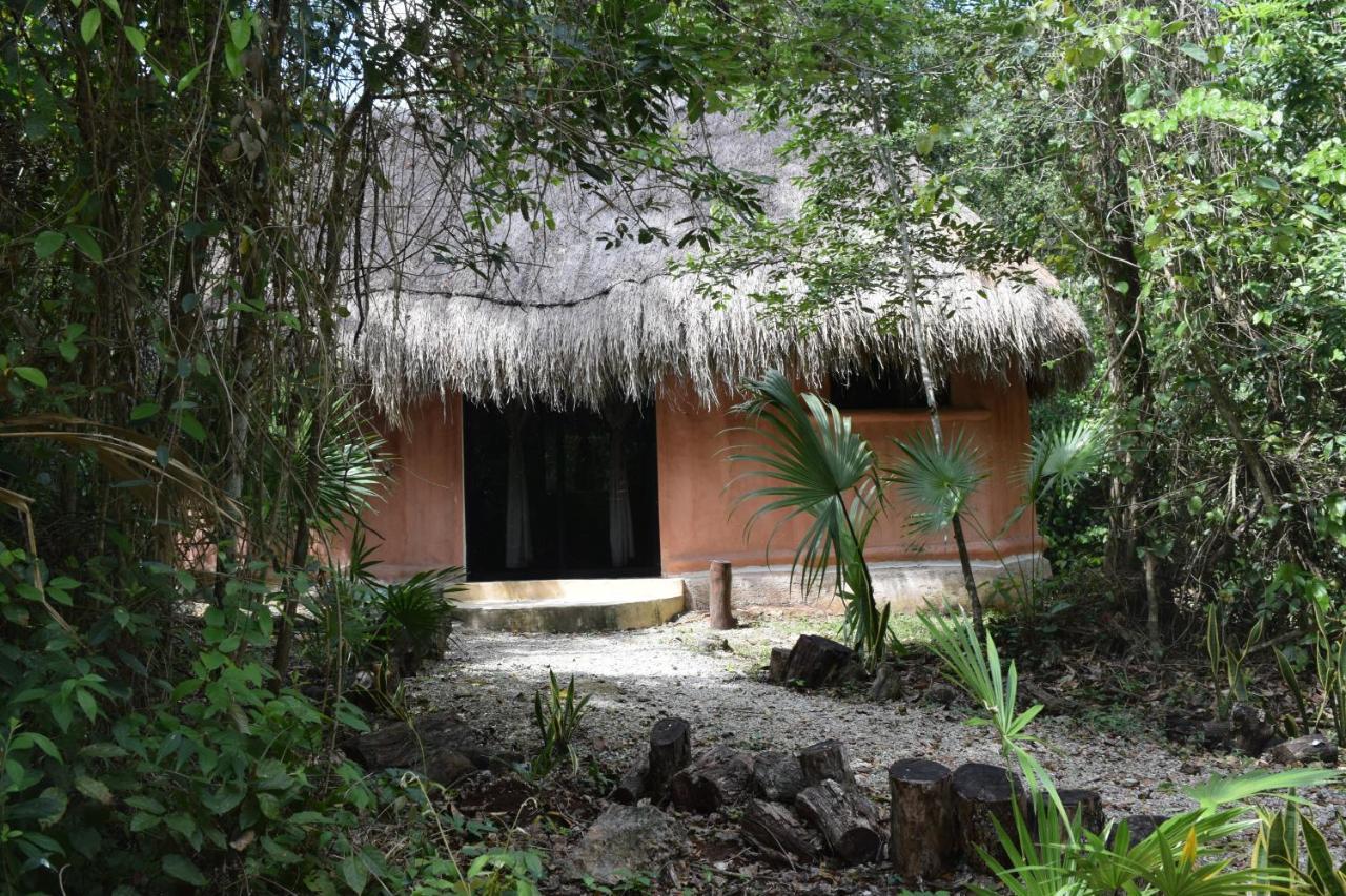 Jolie Jungle Eco Hotel (Adults Only) Леона-Викарио Экстерьер фото