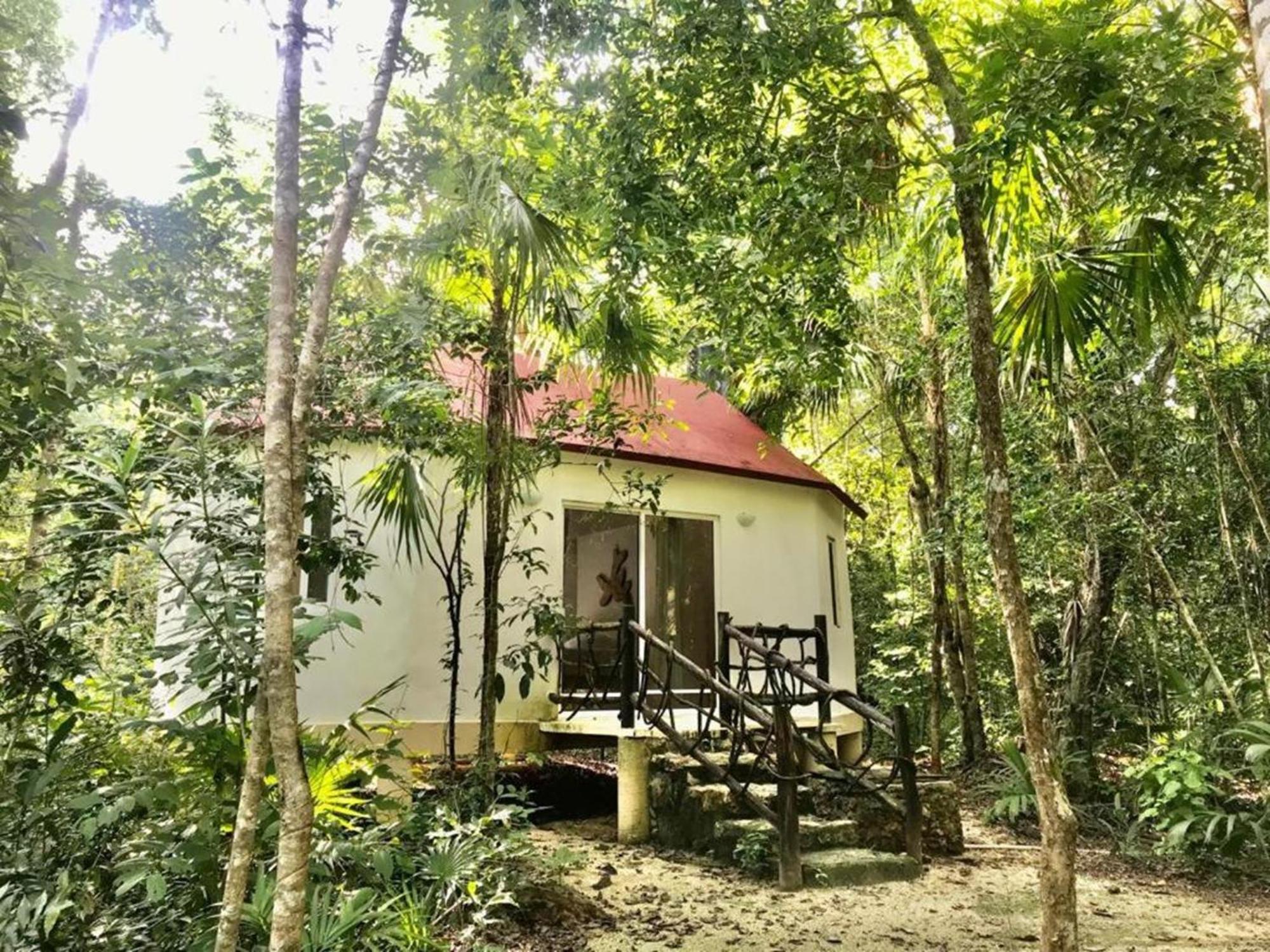 Jolie Jungle Eco Hotel (Adults Only) Леона-Викарио Экстерьер фото