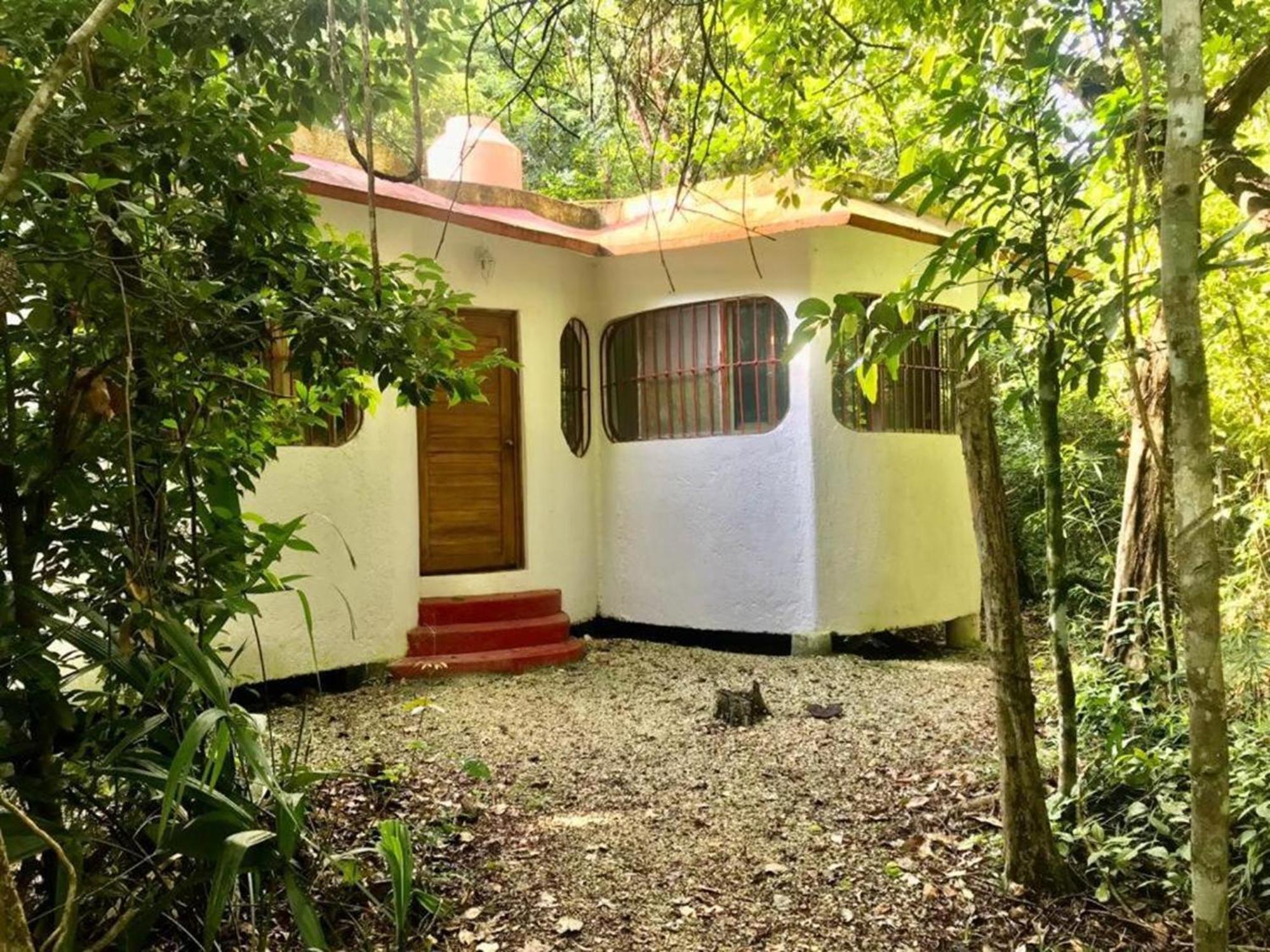 Jolie Jungle Eco Hotel (Adults Only) Леона-Викарио Экстерьер фото